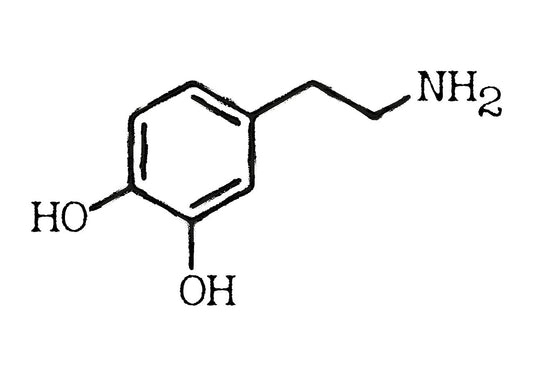 The Power of Dopamine: The Role of Co-Factors and Dietary Sources