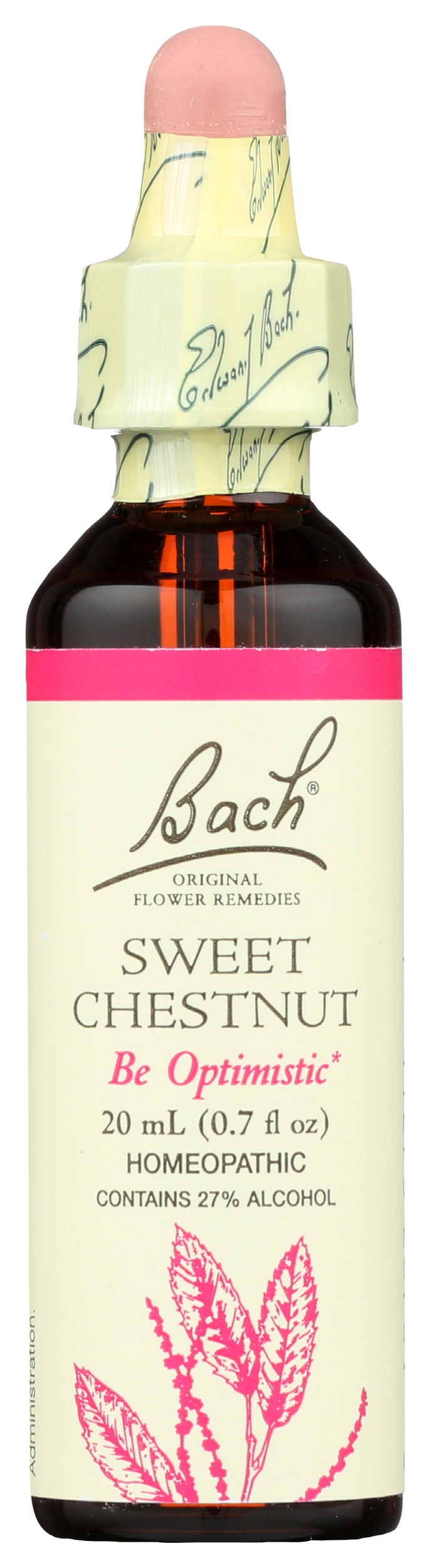 Bach Flower Remedies Sweet Chestnut 20ml