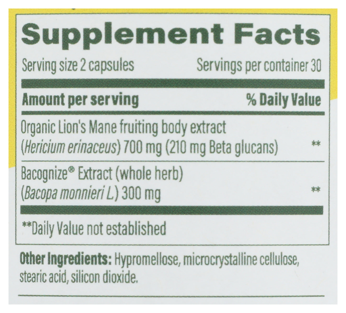 MGF Superfood Mushroom Focus Support