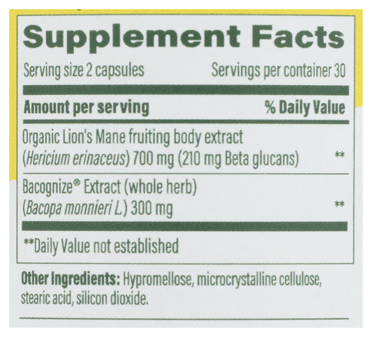 MGF Superfood Mushroom Focus Support