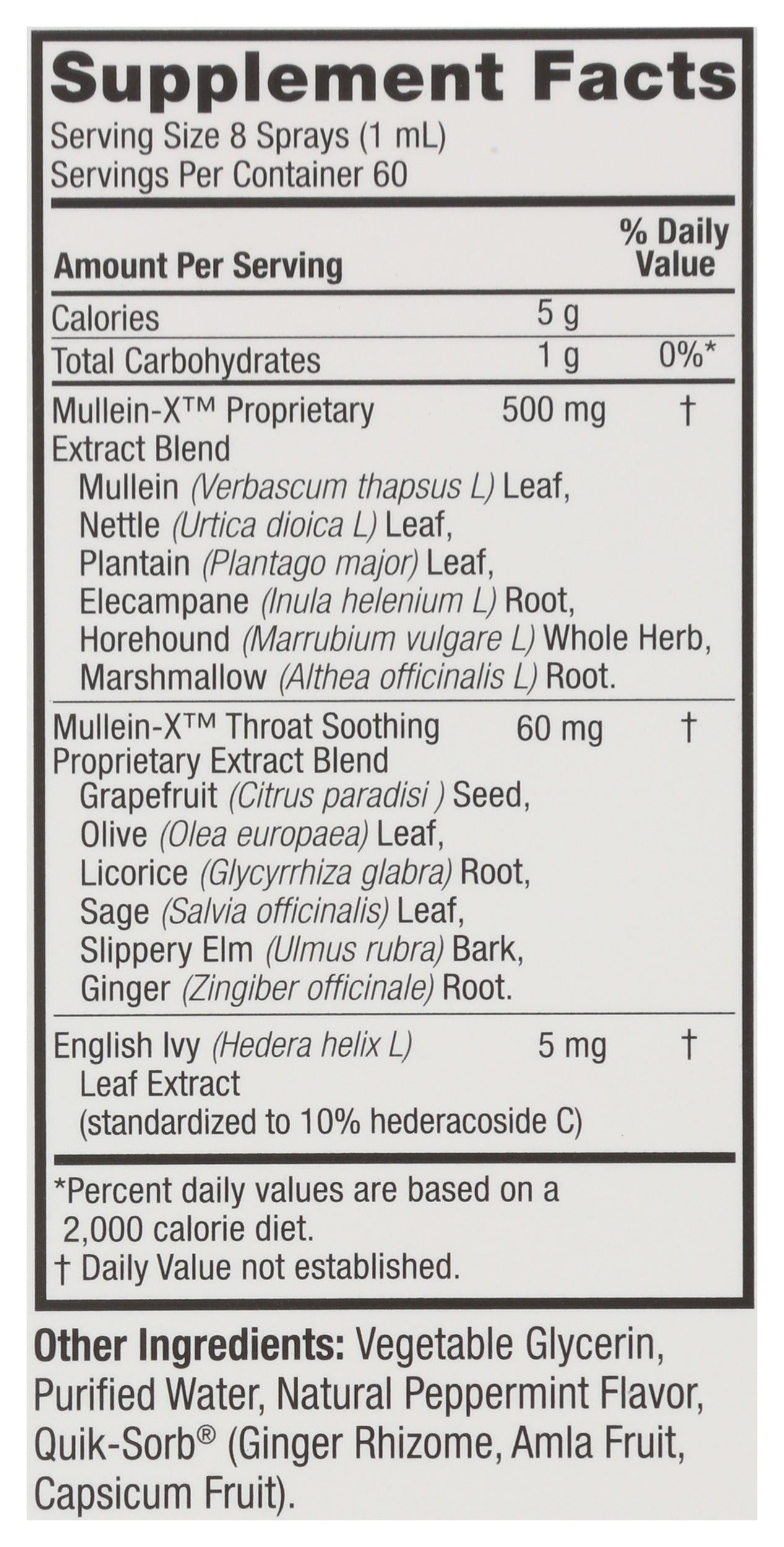 Natures Answer Mullein-X Throat Spray