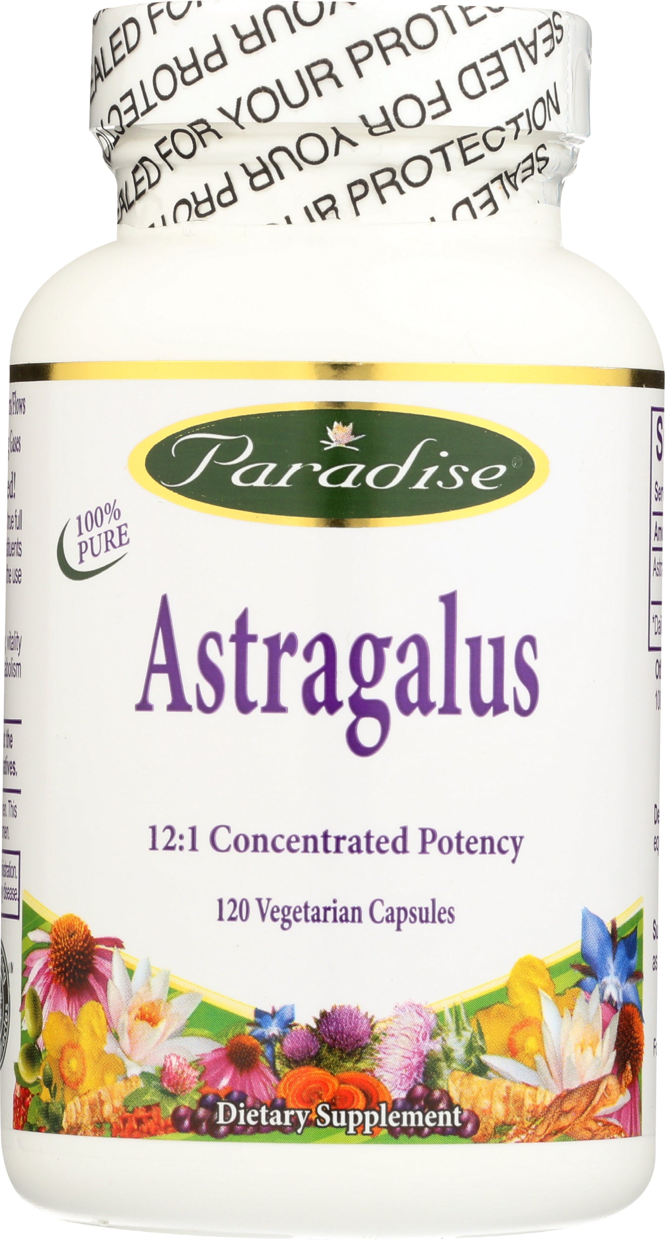 PAH 120ct Astragalus