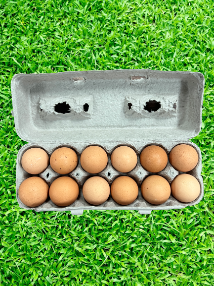 Hickory Hill Farms Pasture Raised Eggs 1 Dozen