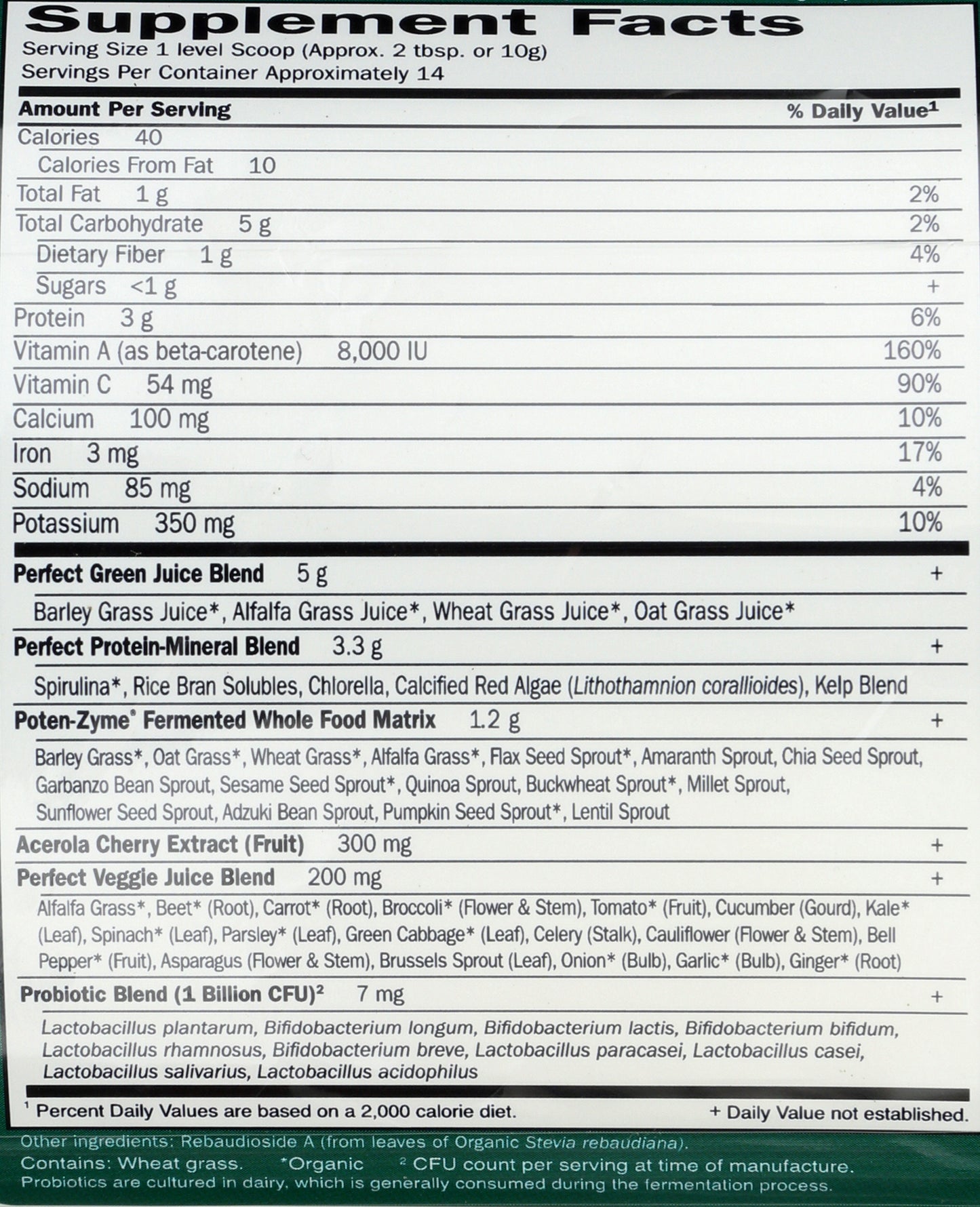 Garden of Life Perfect Food Super Green Formula 140g Back of Bottle