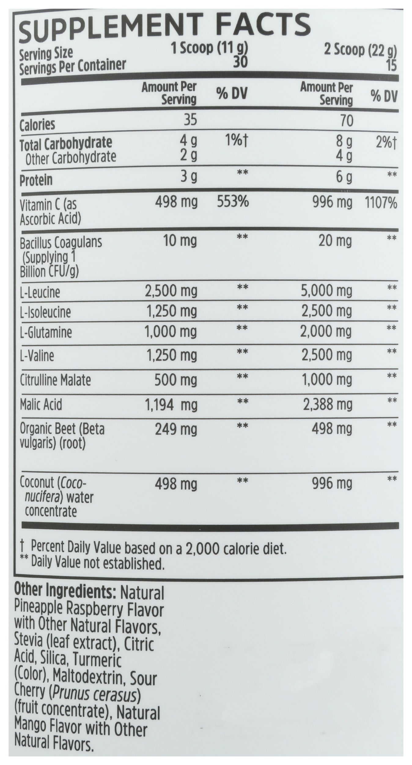 Zhou Muscle BCAA Powder Tropical Punch Flavor 330g Back of Bottle