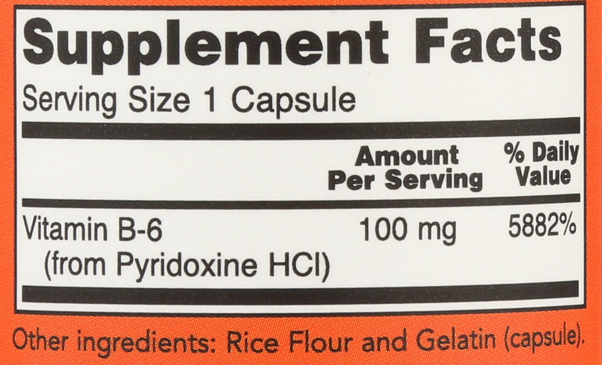 Now B-6 100mg 100 VegCaps Back of Bottle