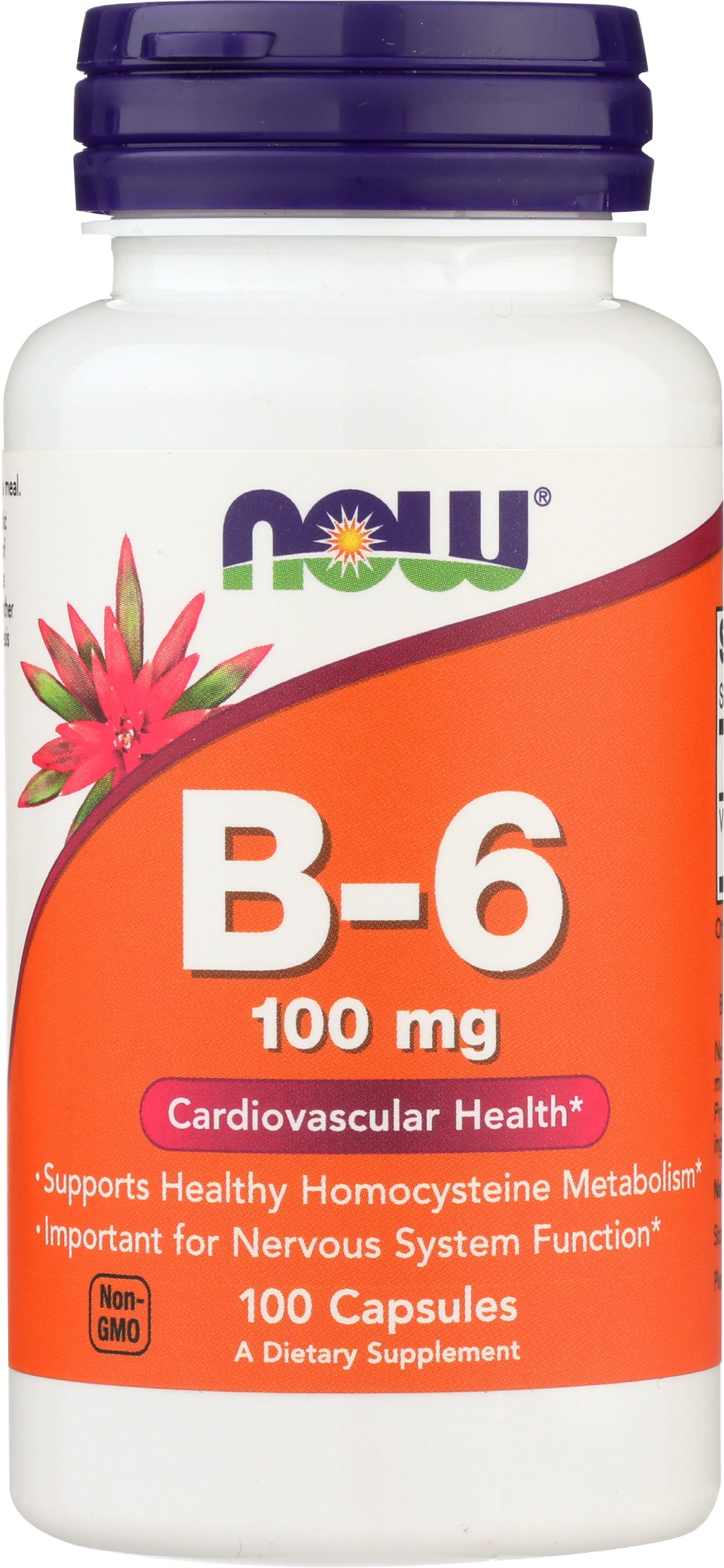 Now B-6 100mg 100 VegCaps Front of Bottle