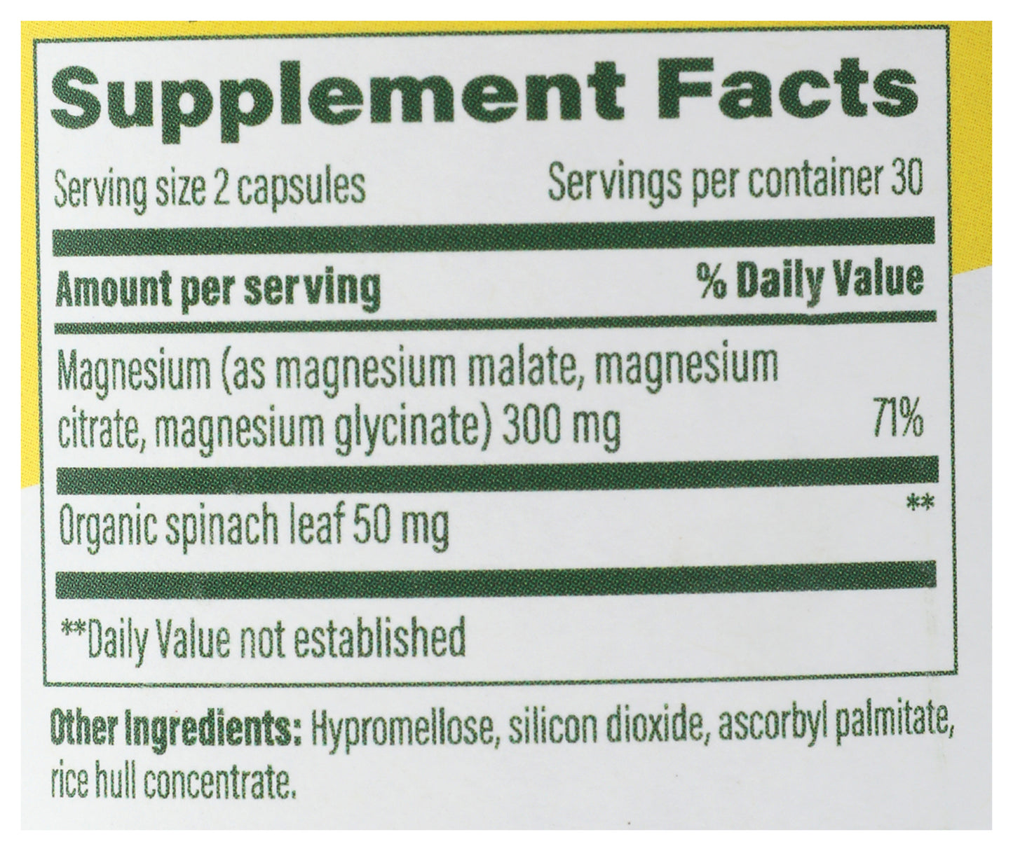 MGF Magnesium 300 60ct