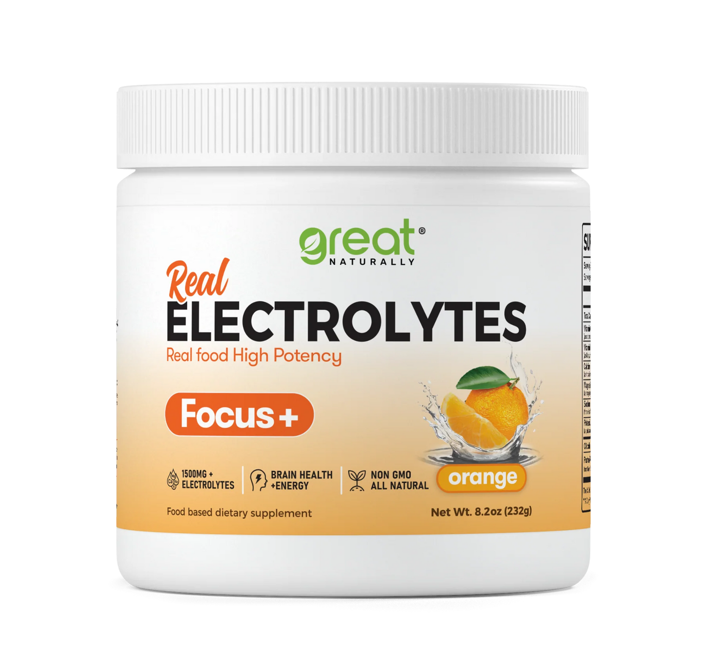 Real Electolytes Focus + Orange 274g