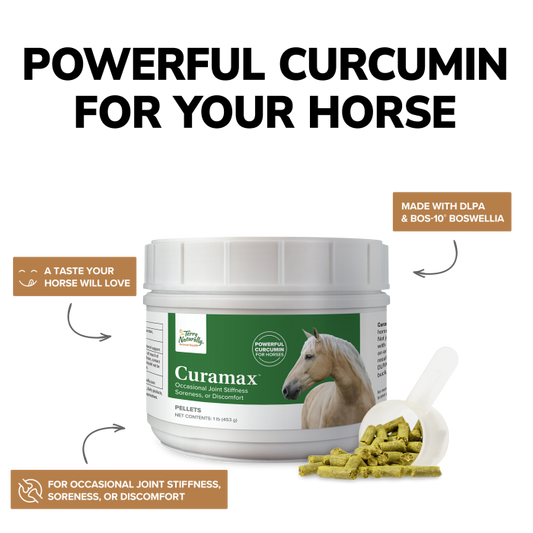 Terry Naturally Curamax Pellets 1lb