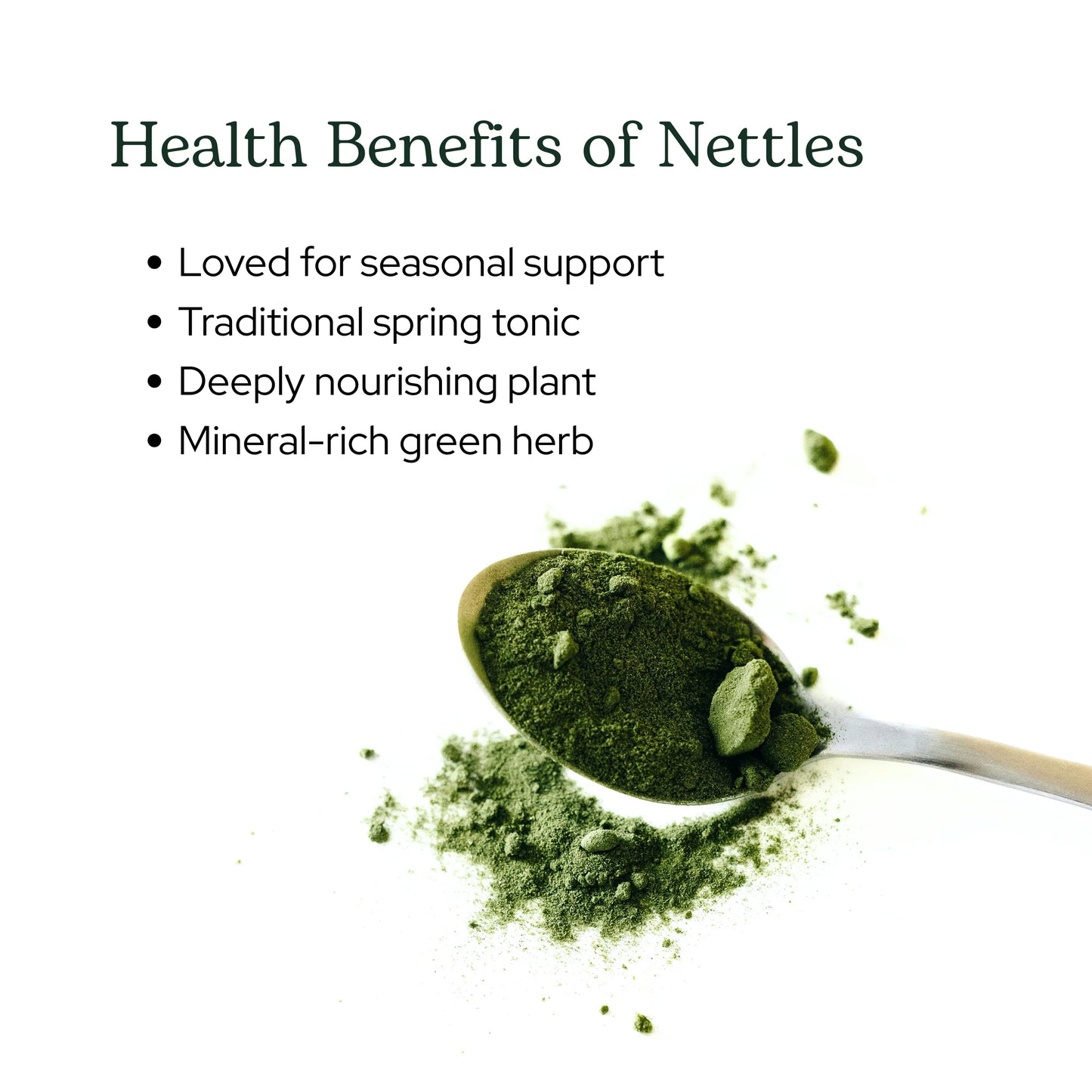 Eclectic Herb Nettle Leaf Powder