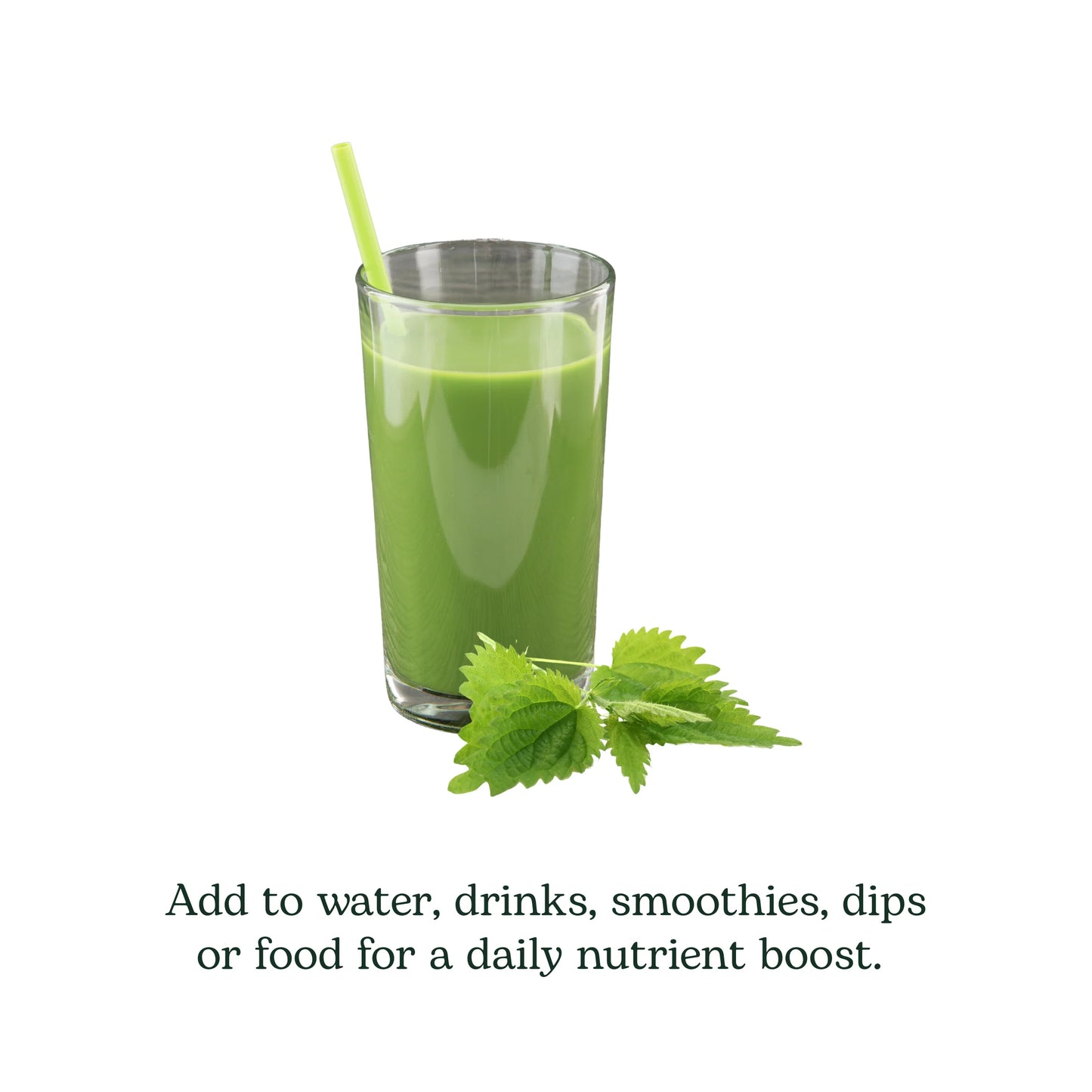 Eclectic Herb Nettle Leaf Powder