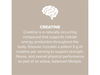 CV Sciences Empowr Protein + Creatine Vanilla 20 servings
