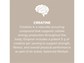 CV Sciences Empowr Protein + Creatine Chocolate 20 servings