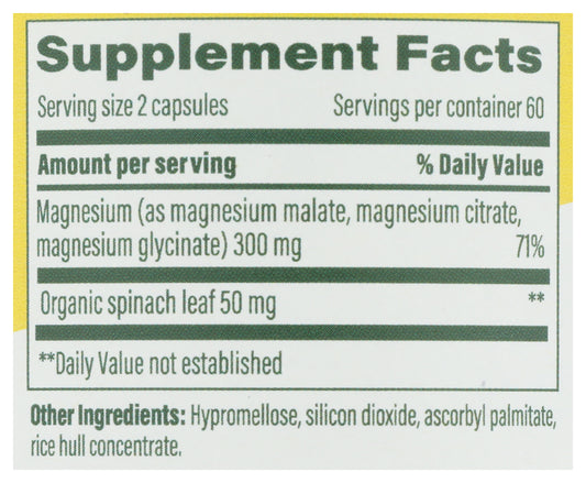 MGF Magnesium 300 120ct