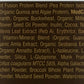 Plant Fusion Meal OG Choc Caramel 2lb