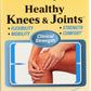 Terry Naturally Healthy Knees & Joints 60 Capsules Front of Box