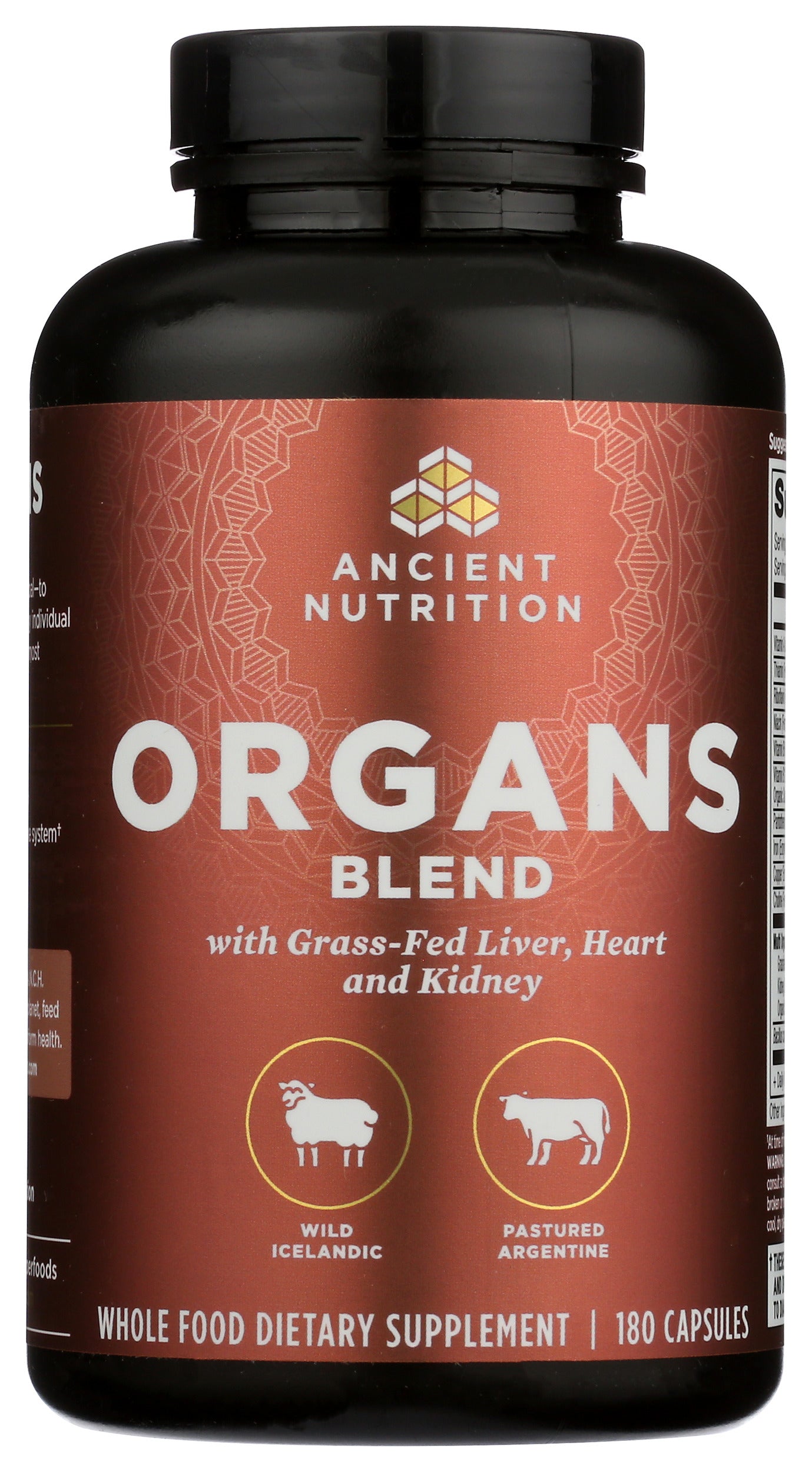 Ancient Nutrition Organs Blend with Grass-Fed Liver, Heart, and Kidney 180 Capsules Front