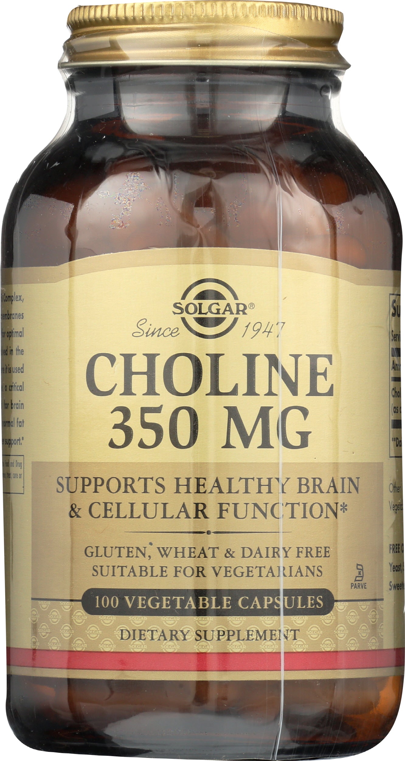 Solgar Choline 350 mg 100 Capsules Front of Bottle