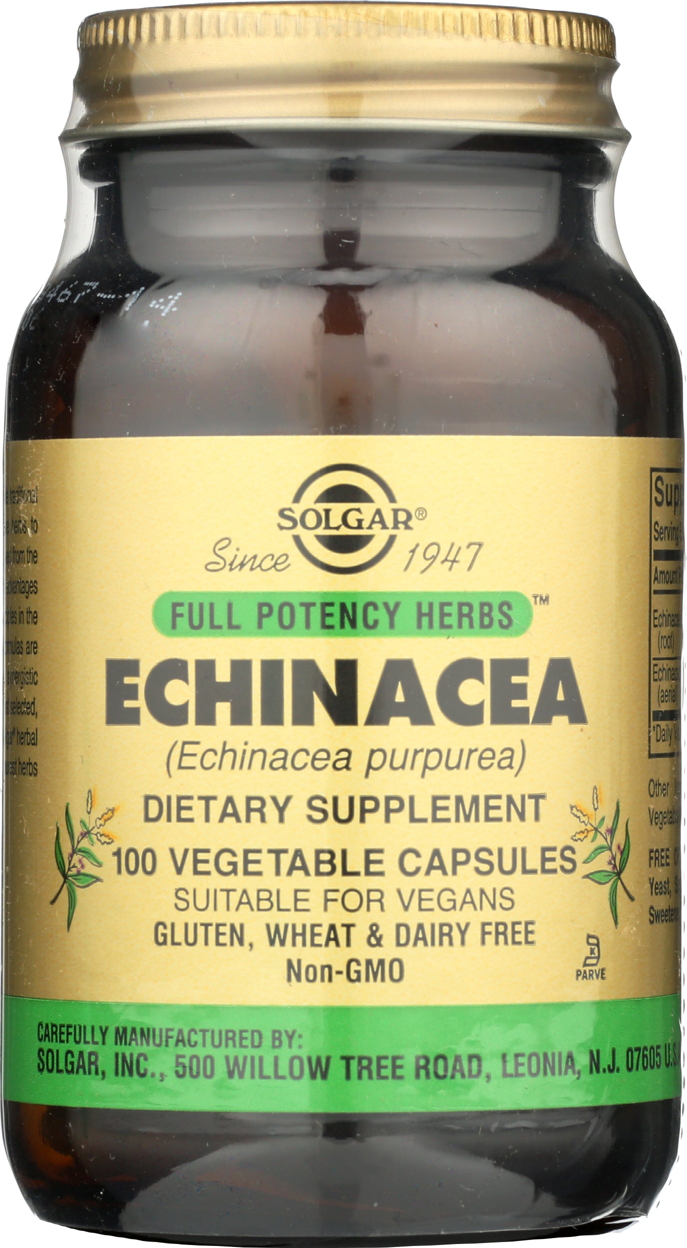 Solgar Echinacea 100 Vegetable Capsules Front of Bottle