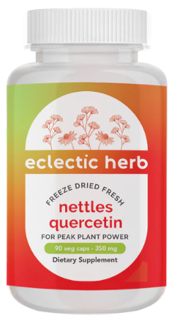 Eclectic Herb Nettles Quercetin 350 mg 90 Veg Caps