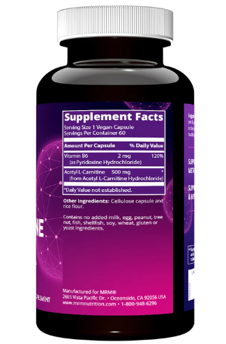 the best l carnitine brand L-Carnitine (500mg) – NutraBio Brands the best l carnitine brand L-Carnitine (500mg) – NutraBio Brands